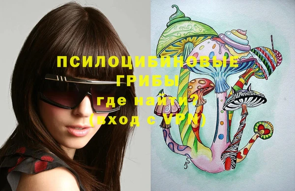 прущая мука Абаза