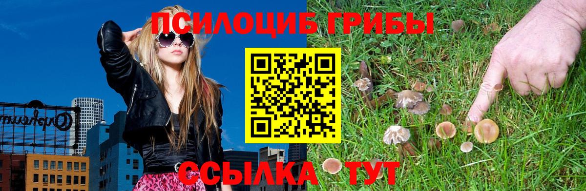 Череповец  Галлюциногенные грибы Psilocybine cubensis  Вход с VPN  купить наркотик  Галлюциногенные грибы Psilocybine cubensis 